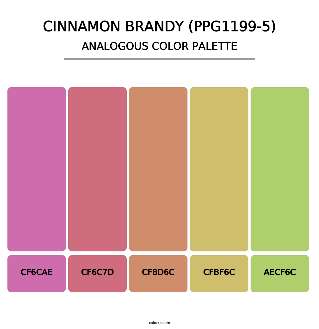 Cinnamon Brandy (PPG1199-5) - Analogous Color Palette