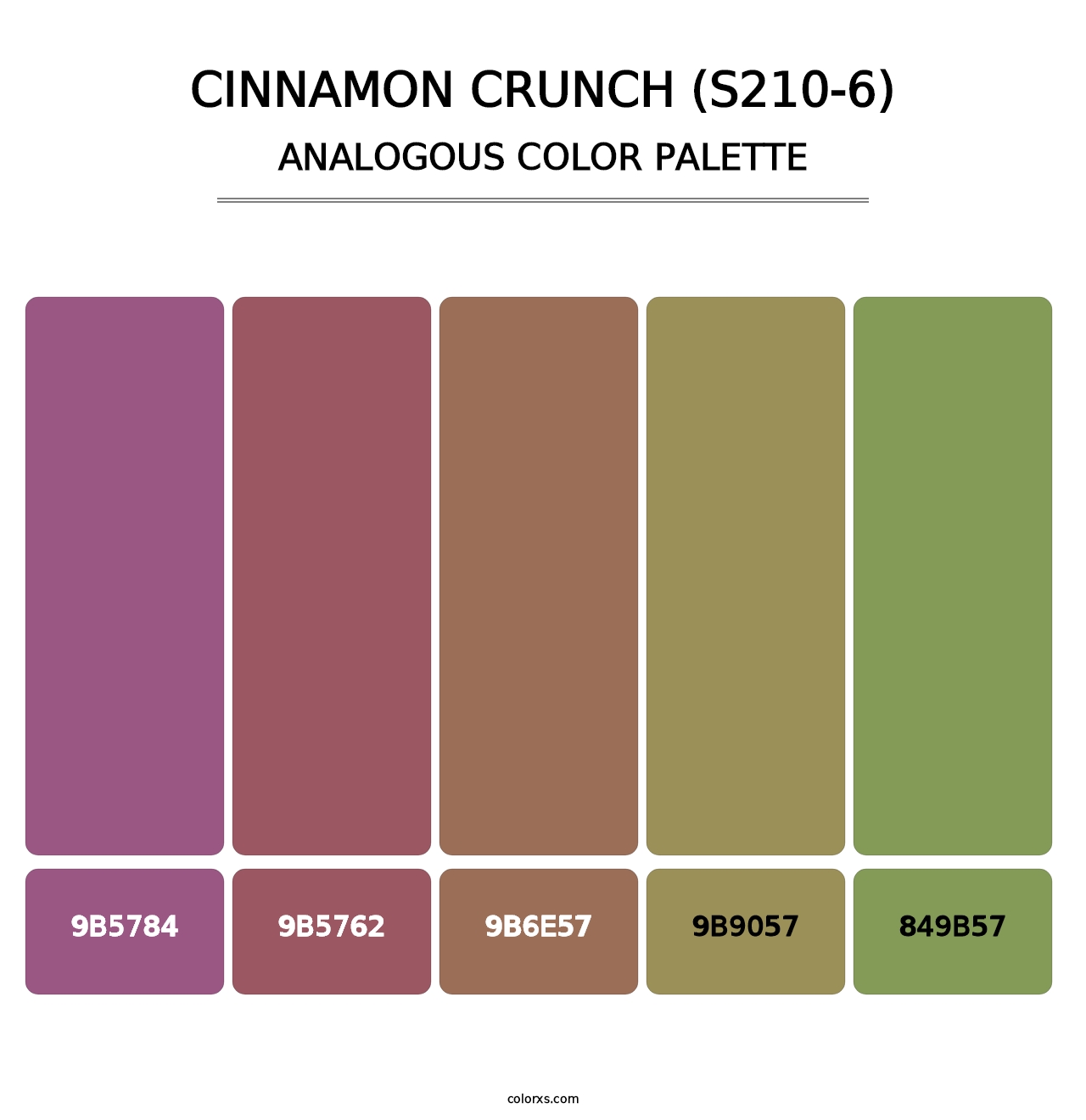 Cinnamon Crunch (S210-6) - Analogous Color Palette