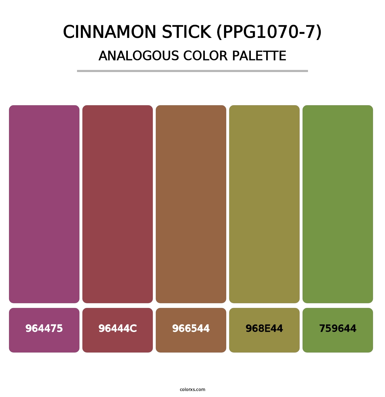 Cinnamon Stick (PPG1070-7) - Analogous Color Palette
