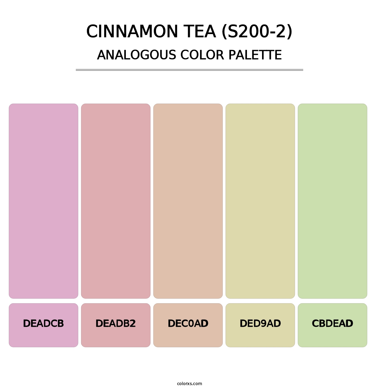 Cinnamon Tea (S200-2) - Analogous Color Palette