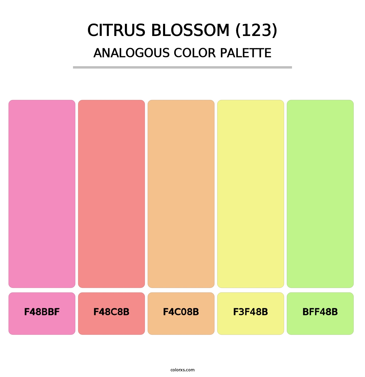 Citrus Blossom (123) - Analogous Color Palette