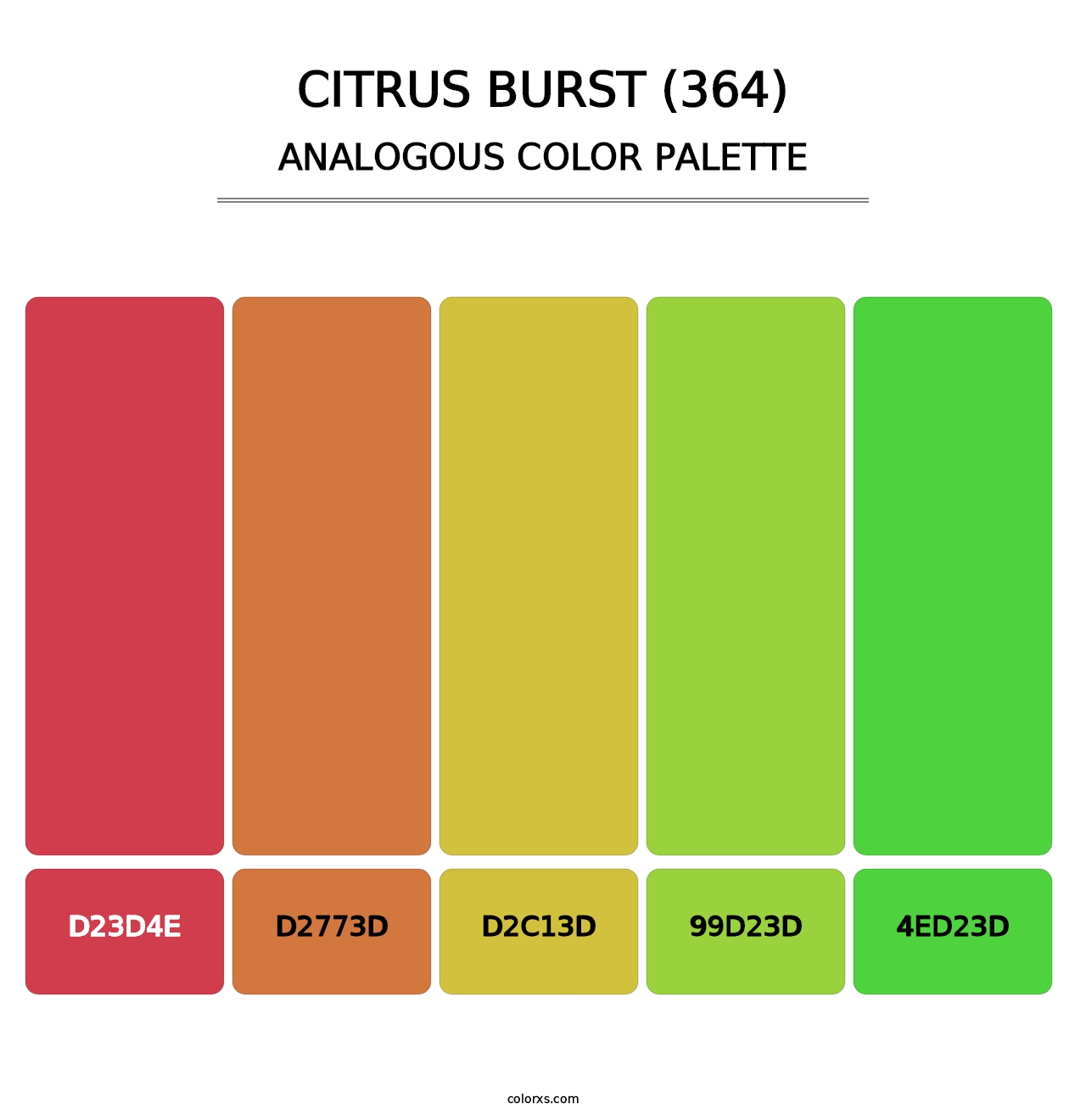 Citrus Burst (364) - Analogous Color Palette