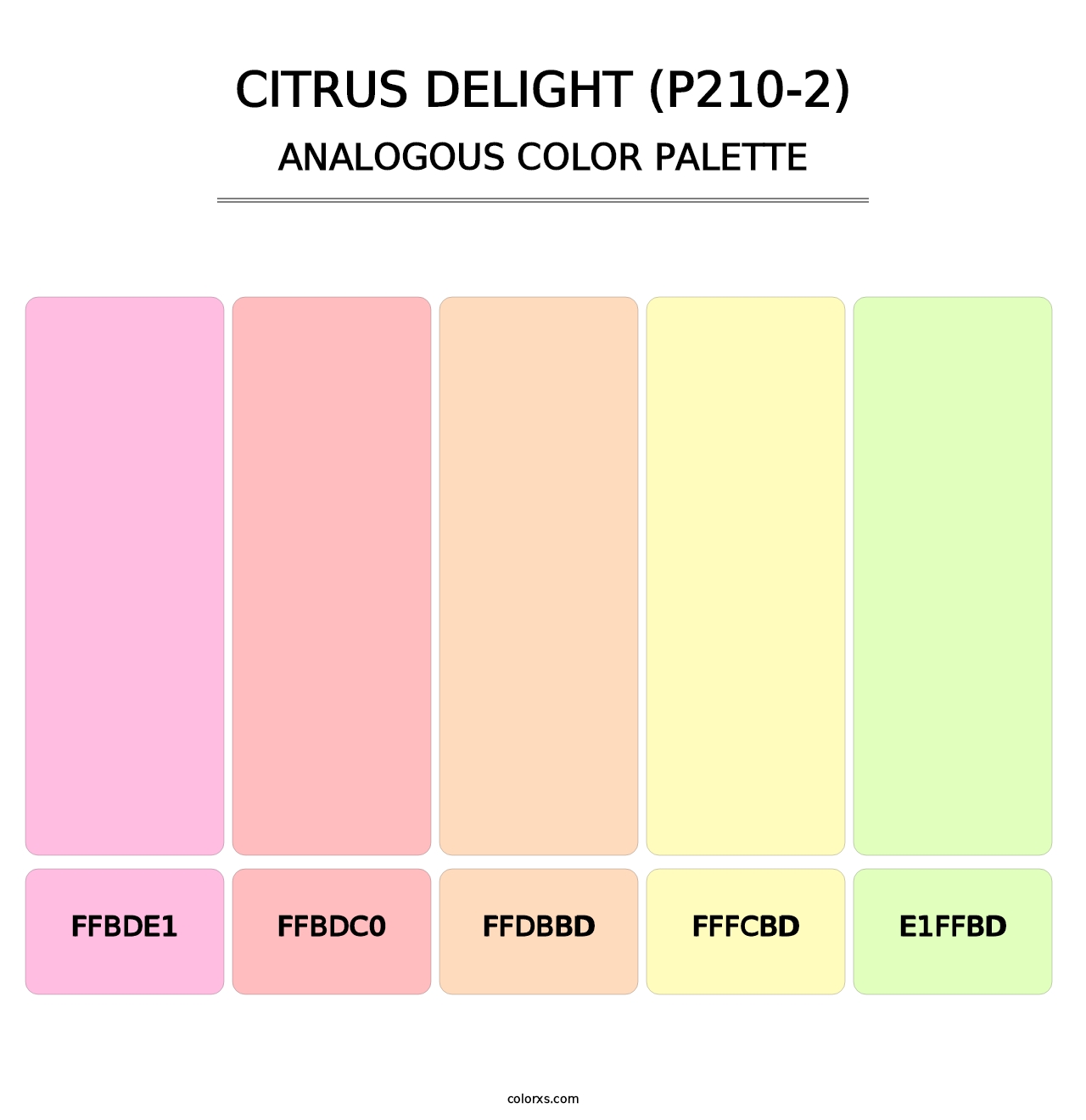 Citrus Delight (P210-2) - Analogous Color Palette