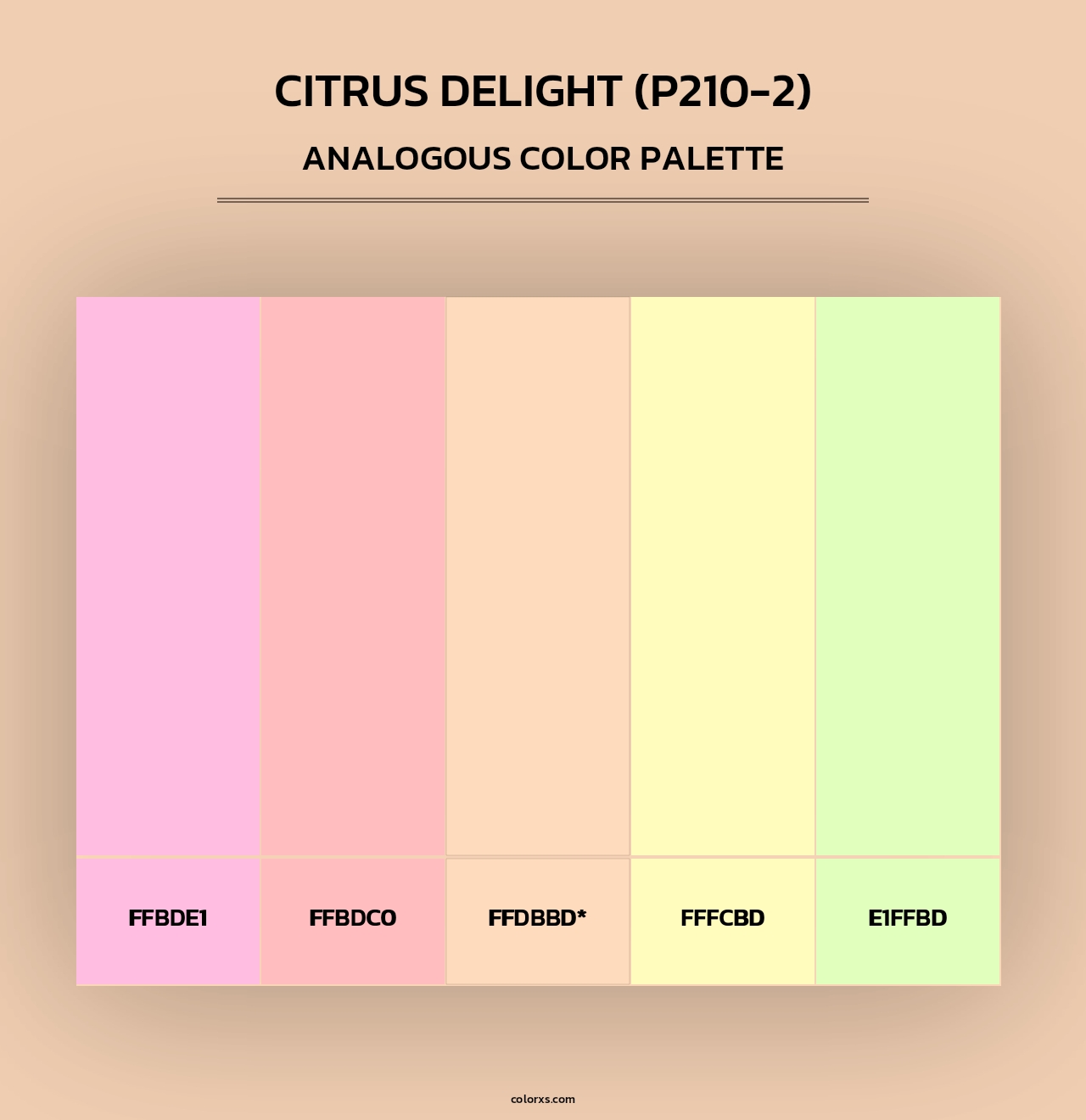 Citrus Delight (P210-2) - Analogous Color Palette