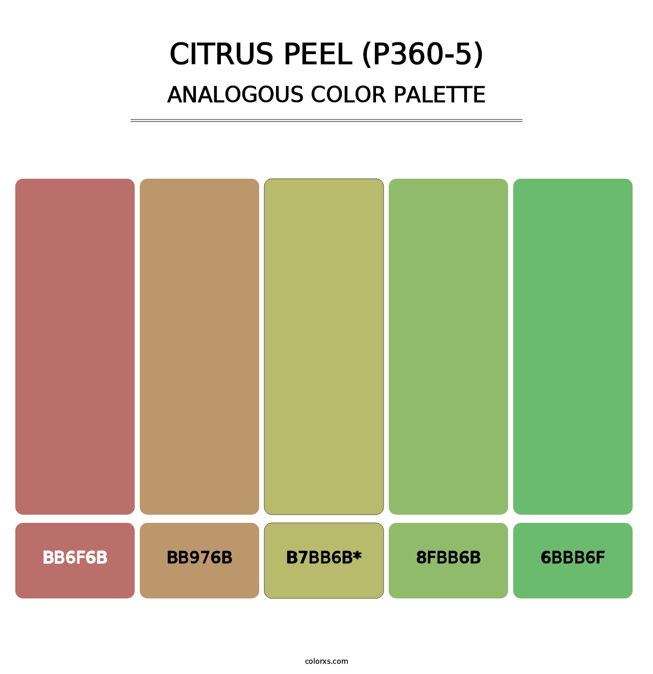 Citrus Peel (P360-5) - Analogous Color Palette
