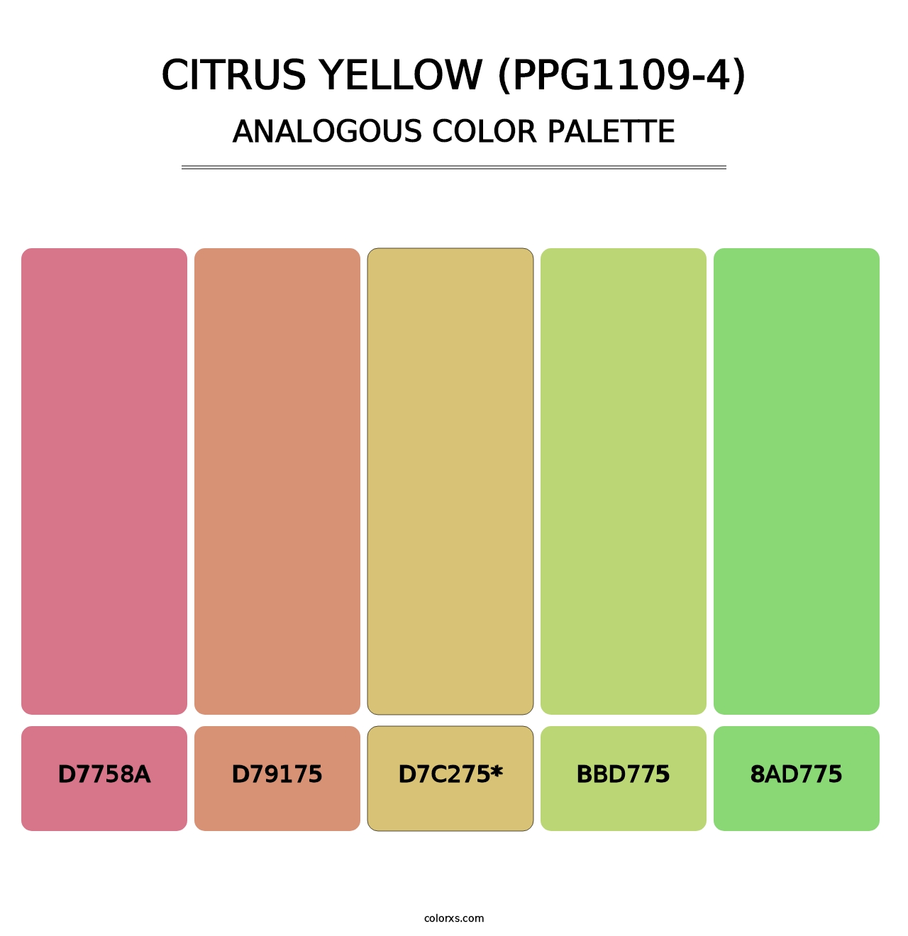 Citrus Yellow (PPG1109-4) - Analogous Color Palette