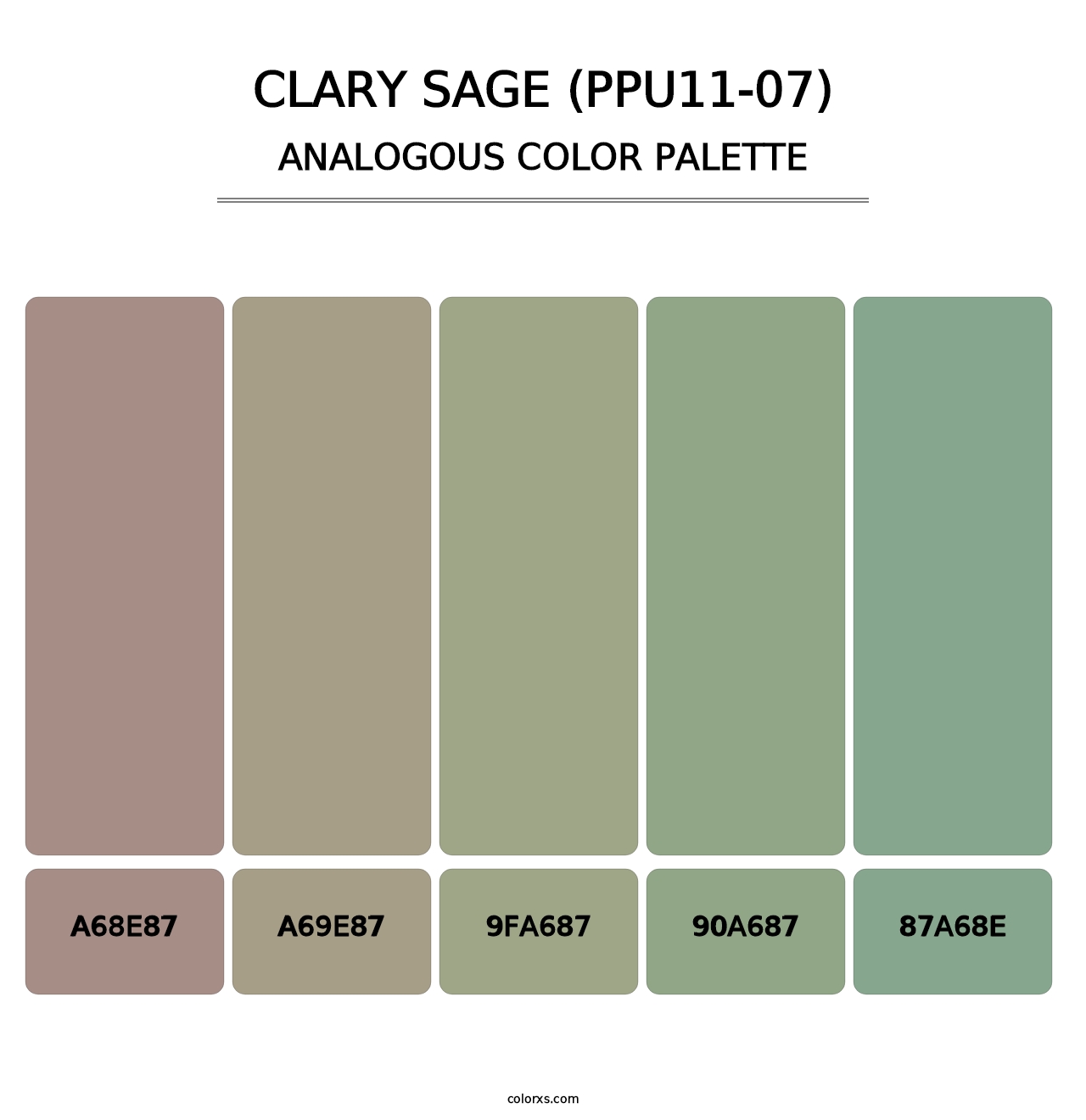 Clary Sage (PPU11-07) - Analogous Color Palette
