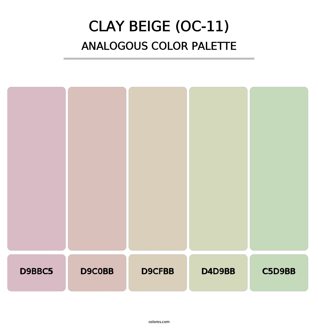 Clay Beige (OC-11) - Analogous Color Palette