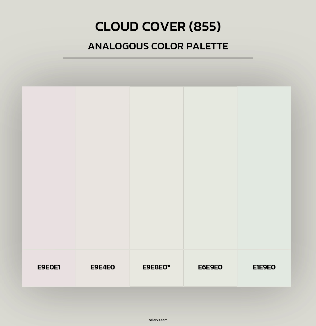 Cloud Cover (855) - Analogous Color Palette