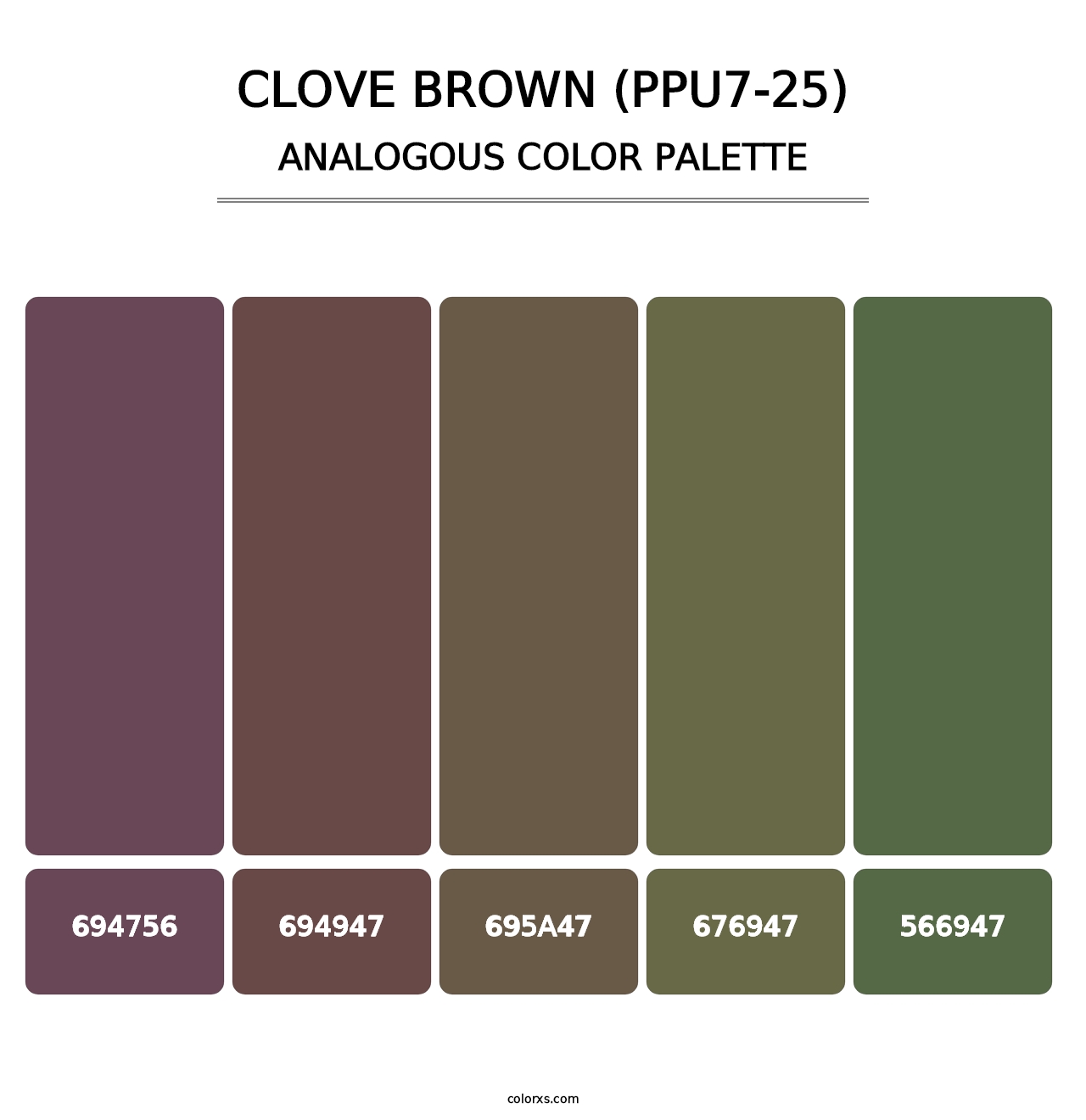 Clove Brown (PPU7-25) - Analogous Color Palette