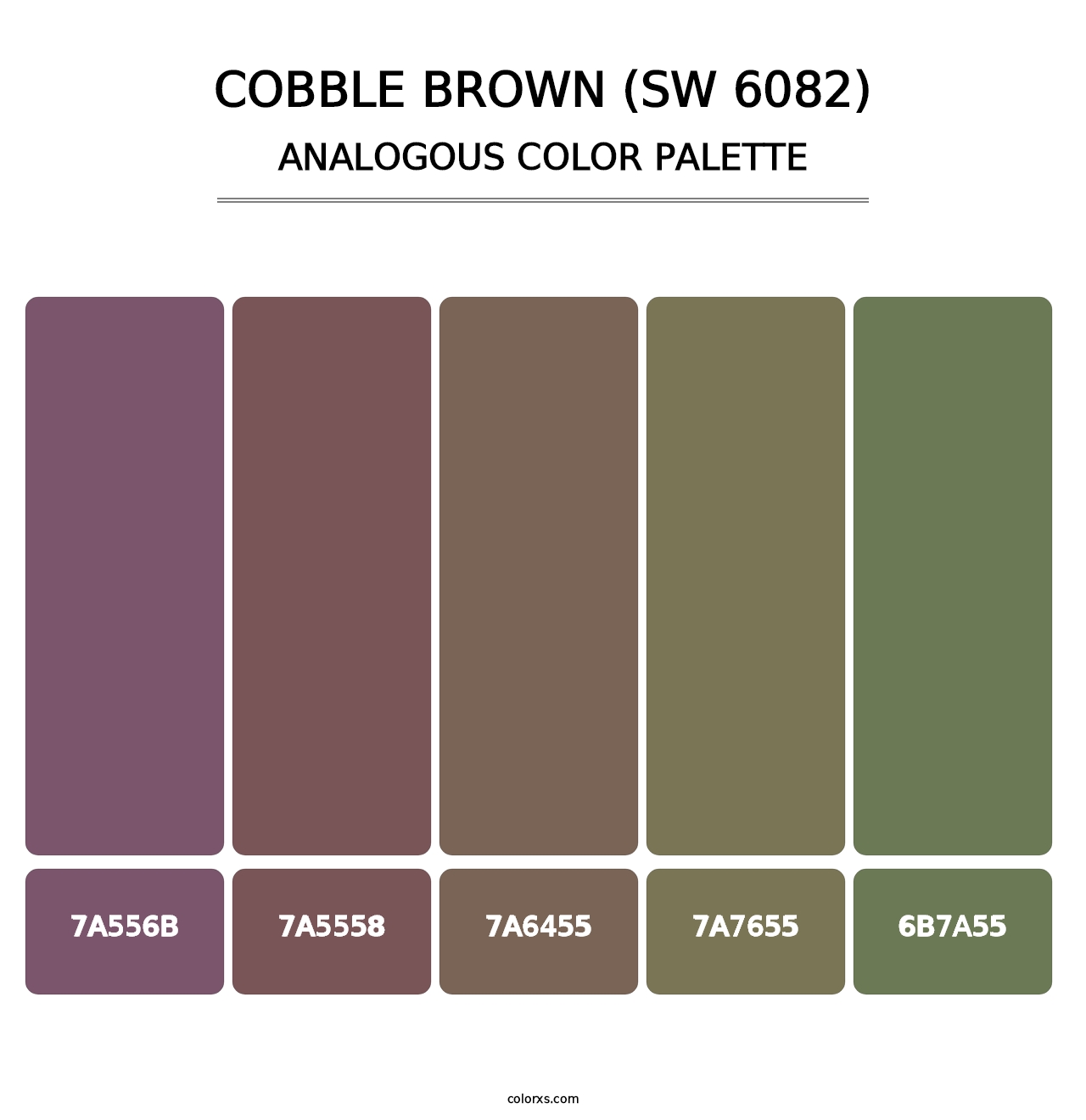 Cobble Brown (SW 6082) - Analogous Color Palette
