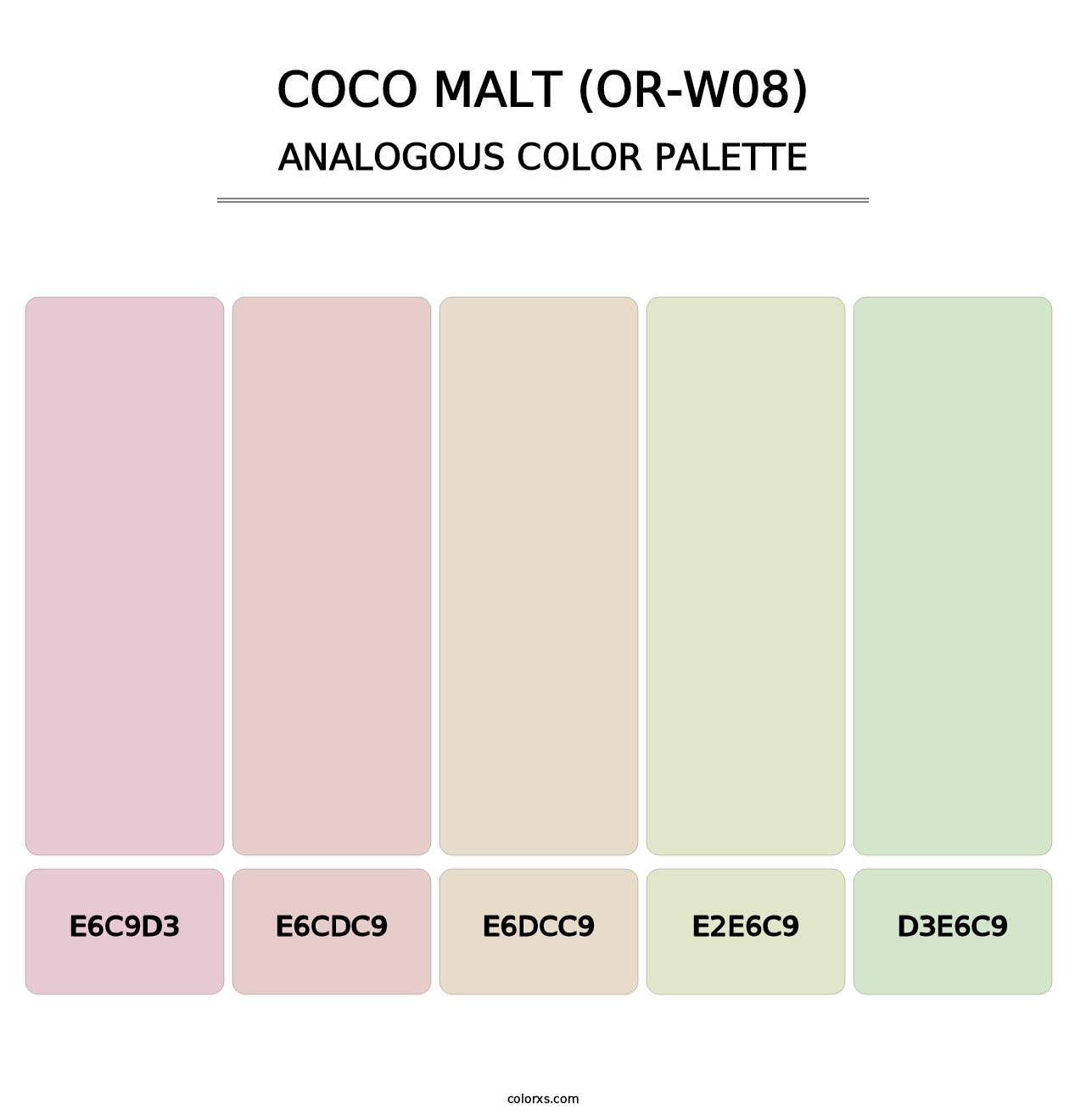 Coco Malt (OR-W08) - Analogous Color Palette