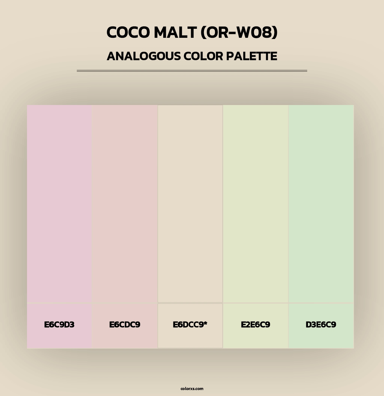 Coco Malt (OR-W08) - Analogous Color Palette