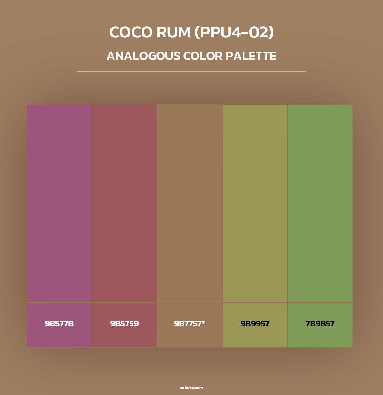 Coco Rum (PPU4-02) - Analogous Color Palette