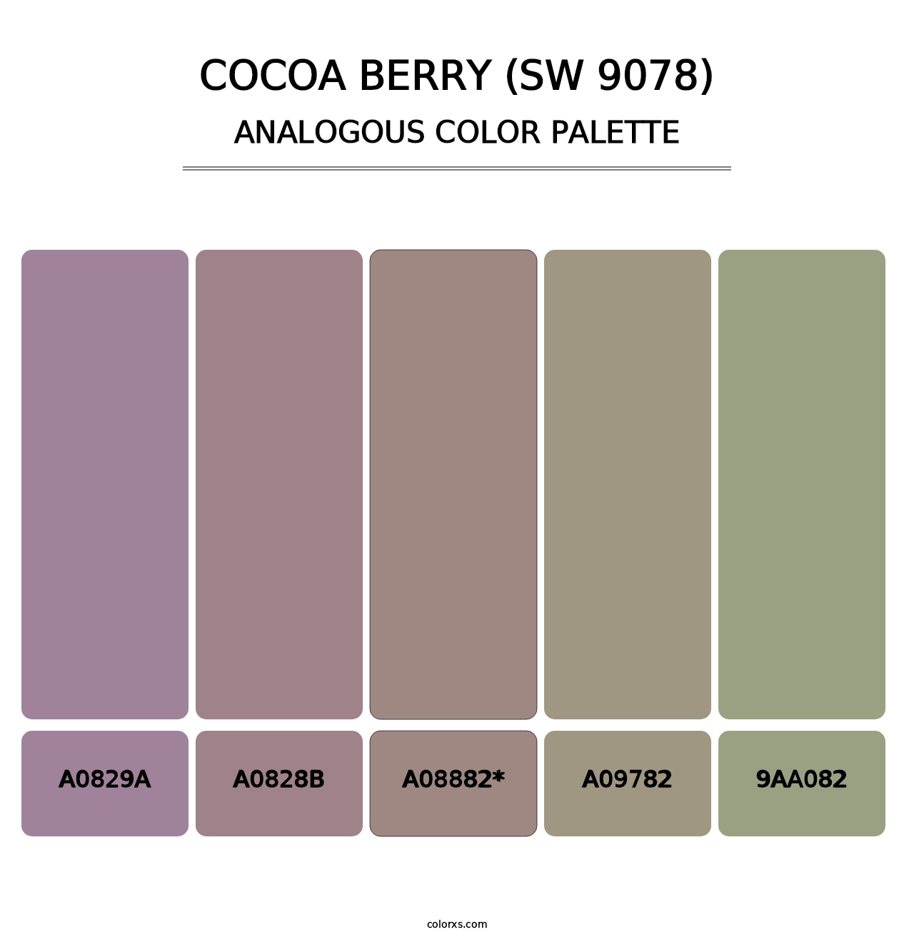 Cocoa Berry (SW 9078) - Analogous Color Palette