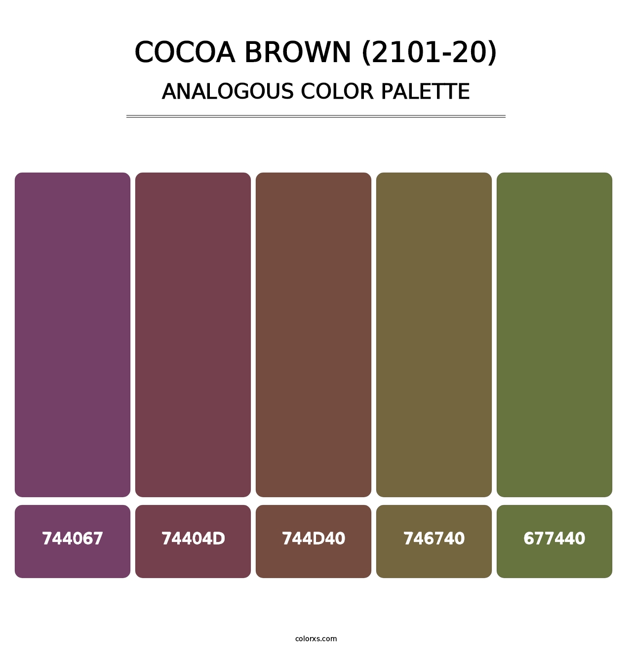 Cocoa Brown (2101-20) - Analogous Color Palette