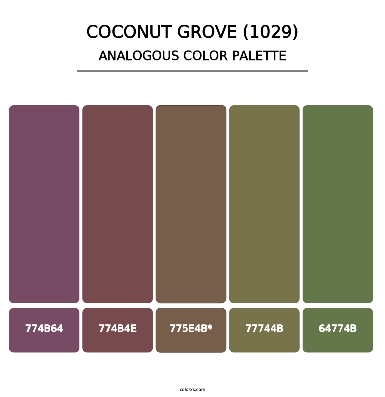 Coconut Grove (1029) - Analogous Color Palette
