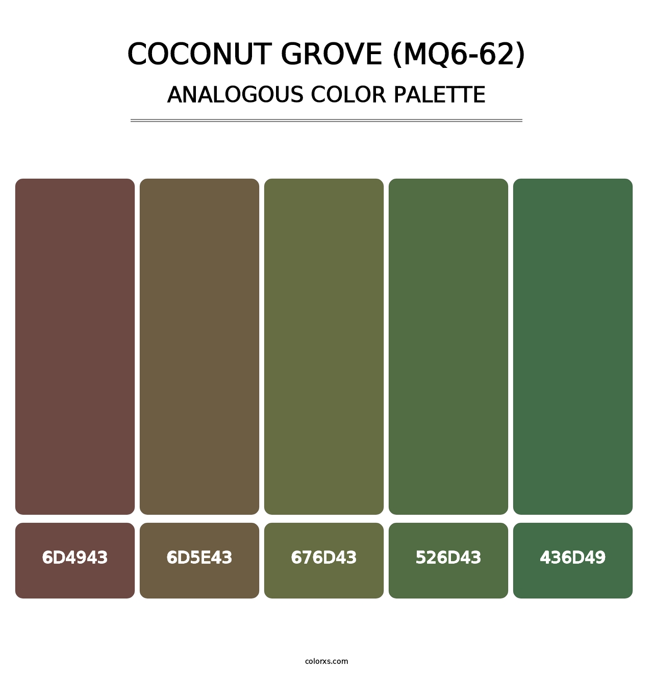 Coconut Grove (MQ6-62) - Analogous Color Palette