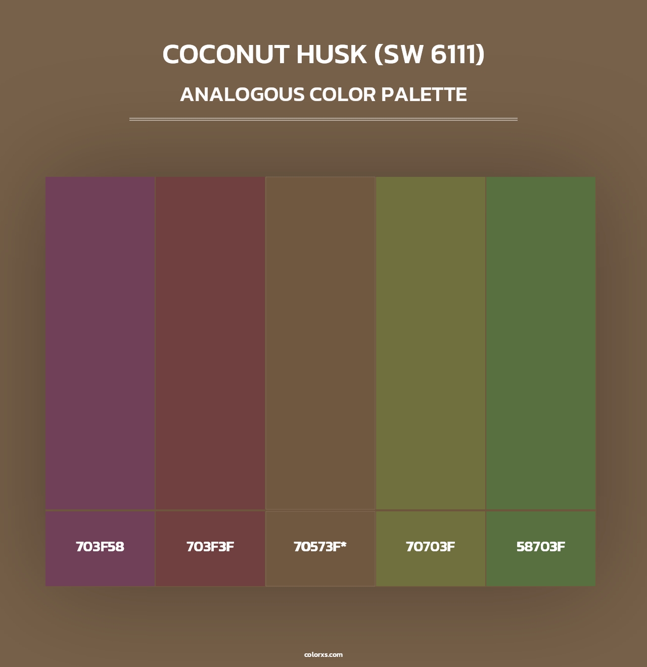 Coconut Husk (SW 6111) - Analogous Color Palette