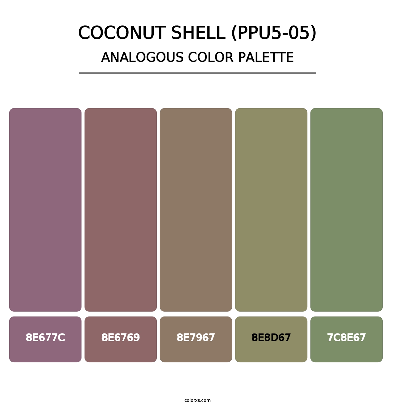 Coconut Shell (PPU5-05) - Analogous Color Palette