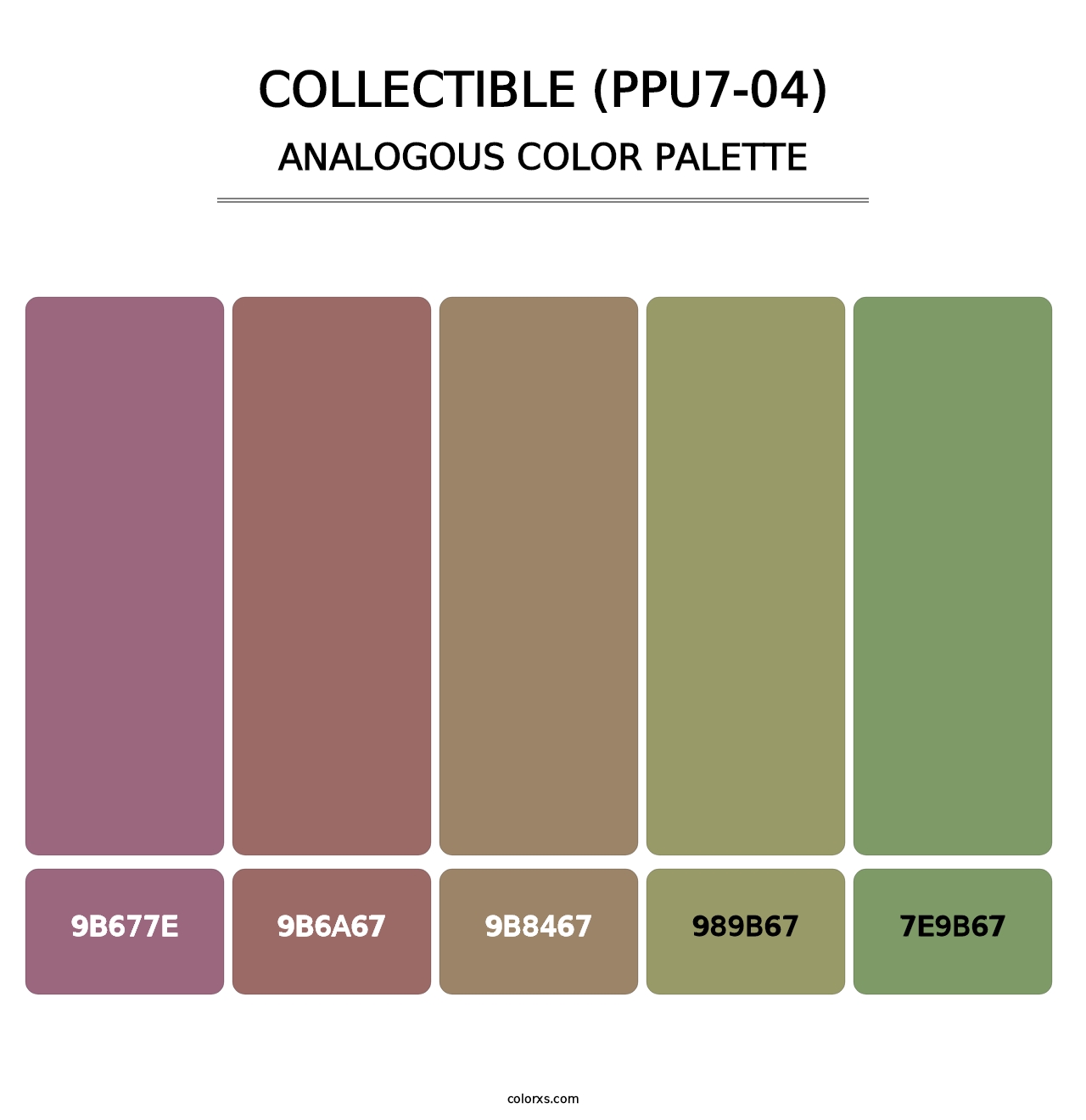 Collectible (PPU7-04) - Analogous Color Palette