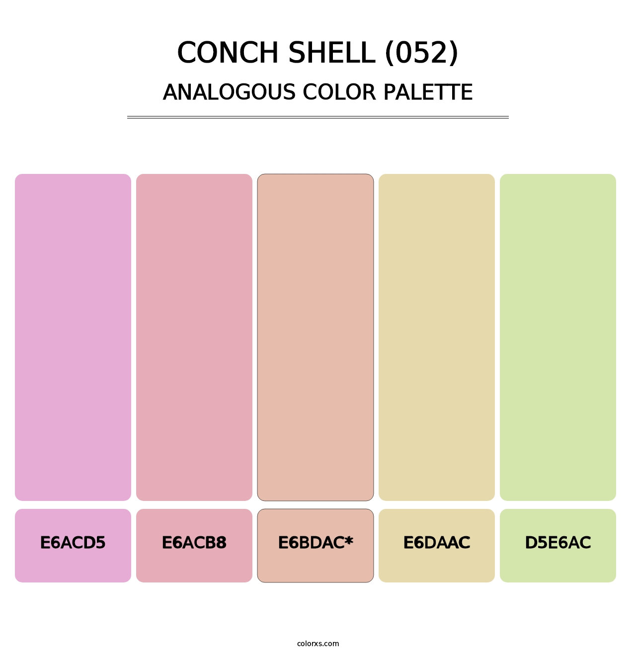 Conch Shell (052) - Analogous Color Palette