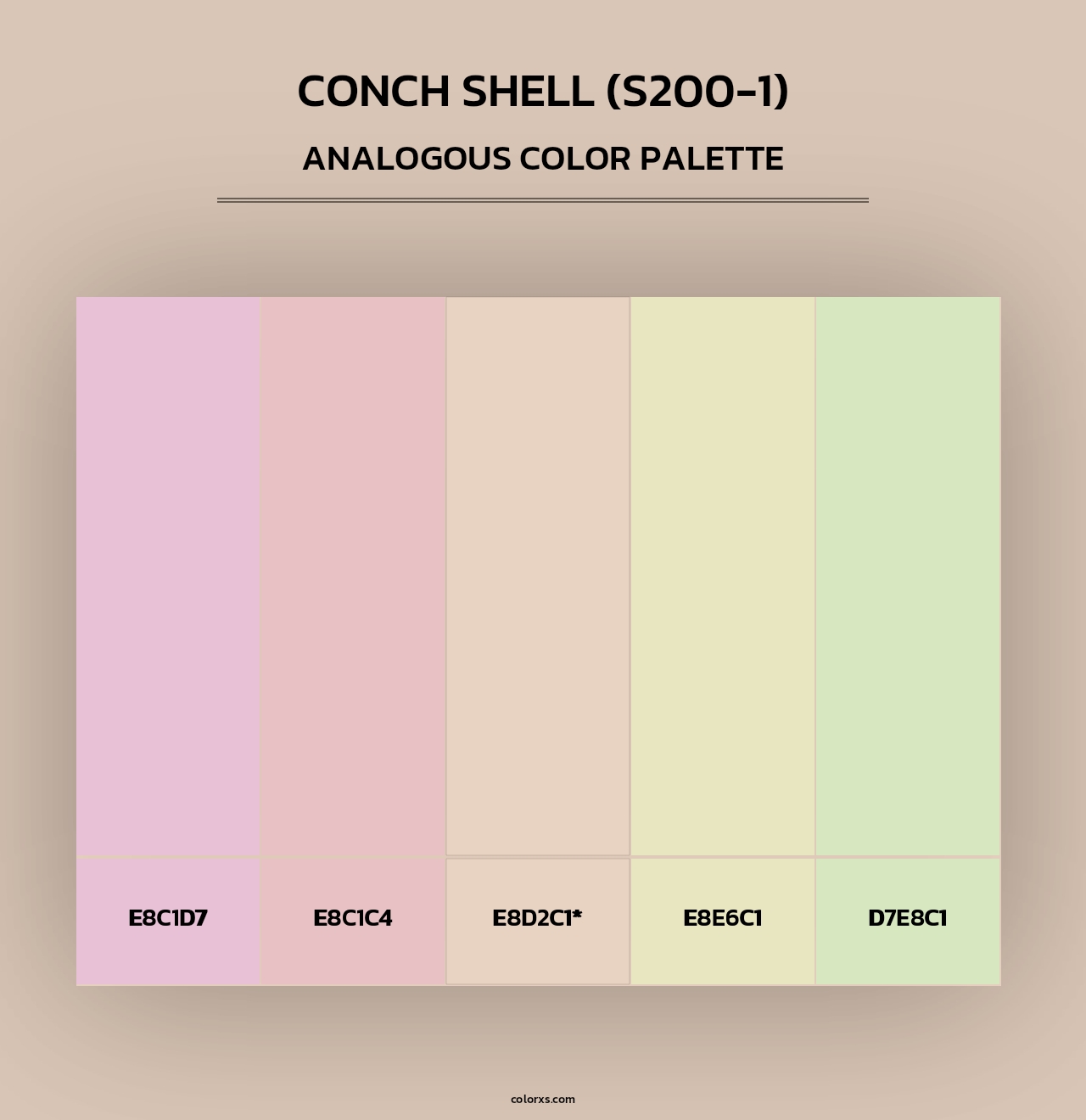 Conch Shell (S200-1) - Analogous Color Palette