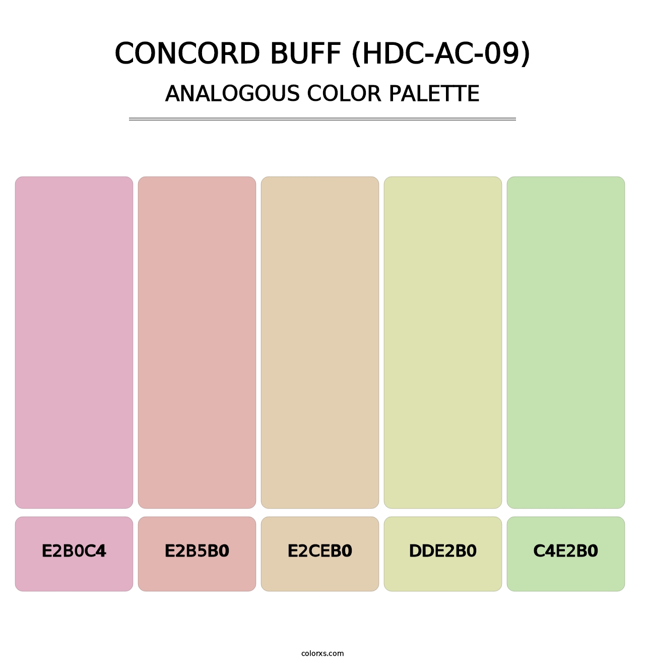 Concord Buff (HDC-AC-09) - Analogous Color Palette
