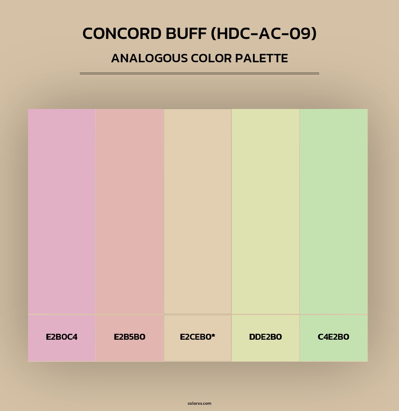 Concord Buff (HDC-AC-09) - Analogous Color Palette