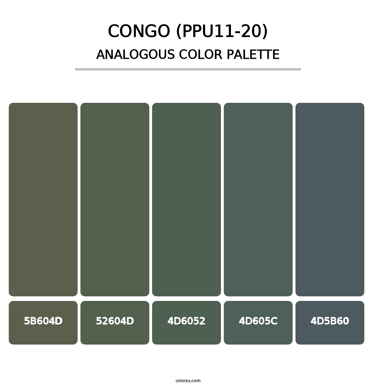 Congo (PPU11-20) - Analogous Color Palette