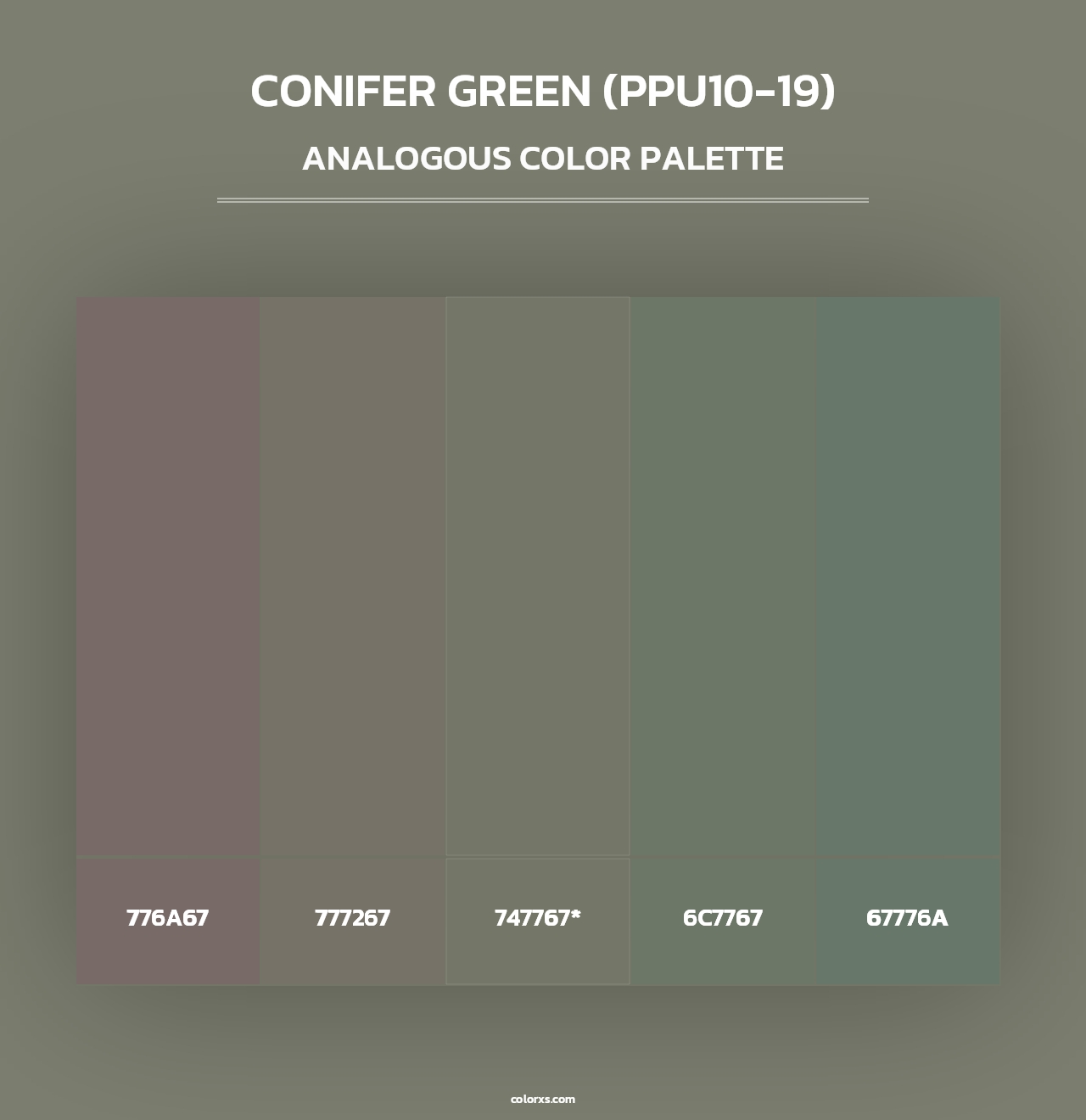 Conifer Green (PPU10-19) - Analogous Color Palette