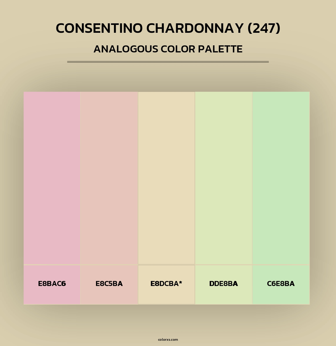 Consentino Chardonnay (247) - Analogous Color Palette