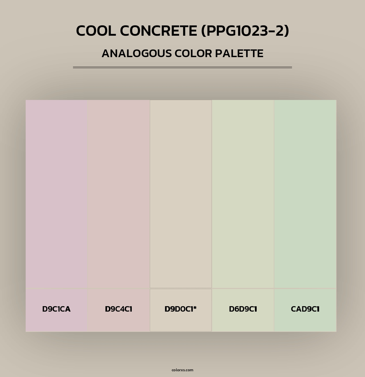 Cool Concrete (PPG1023-2) - Analogous Color Palette