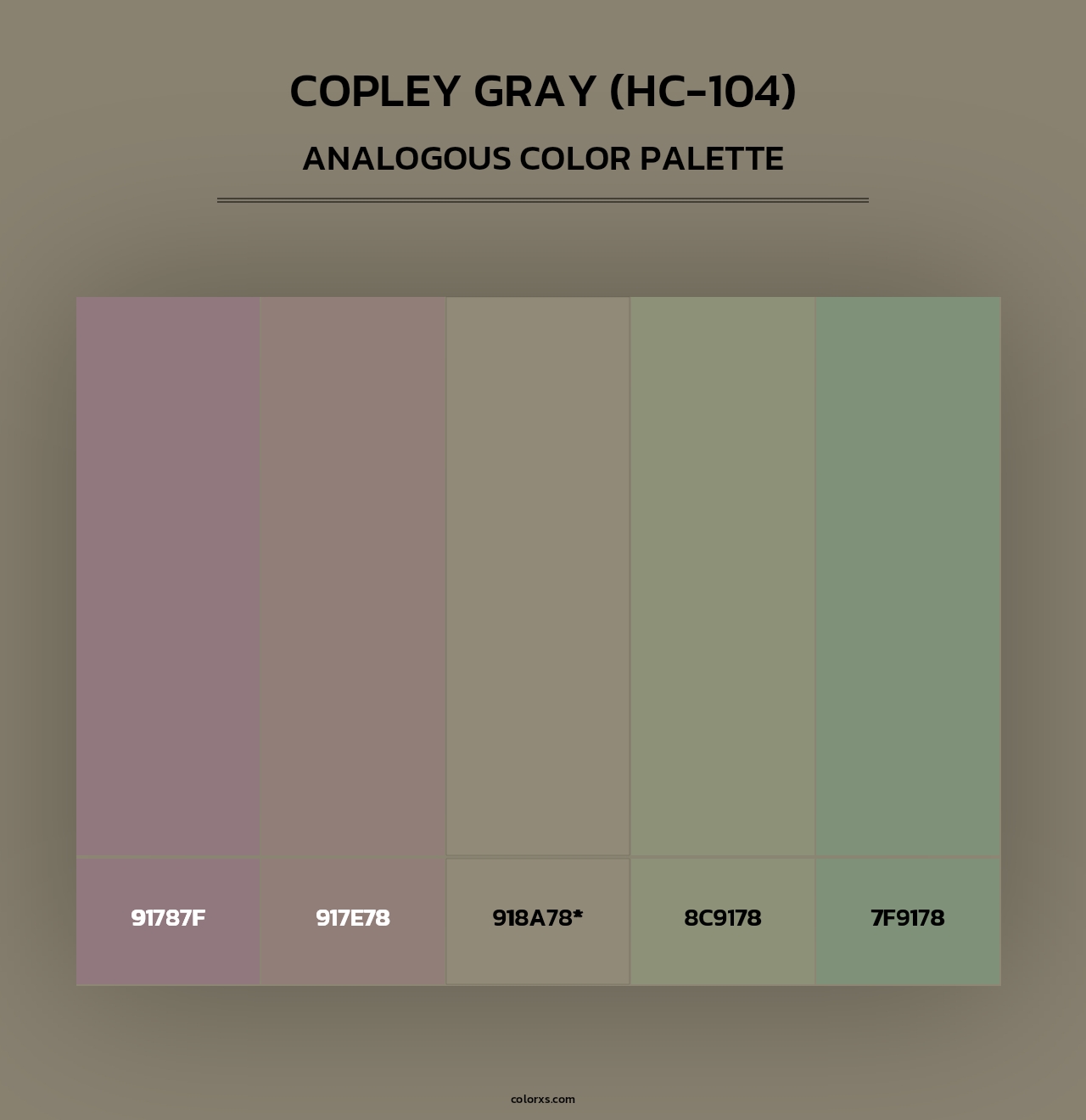Copley Gray (HC-104) - Analogous Color Palette