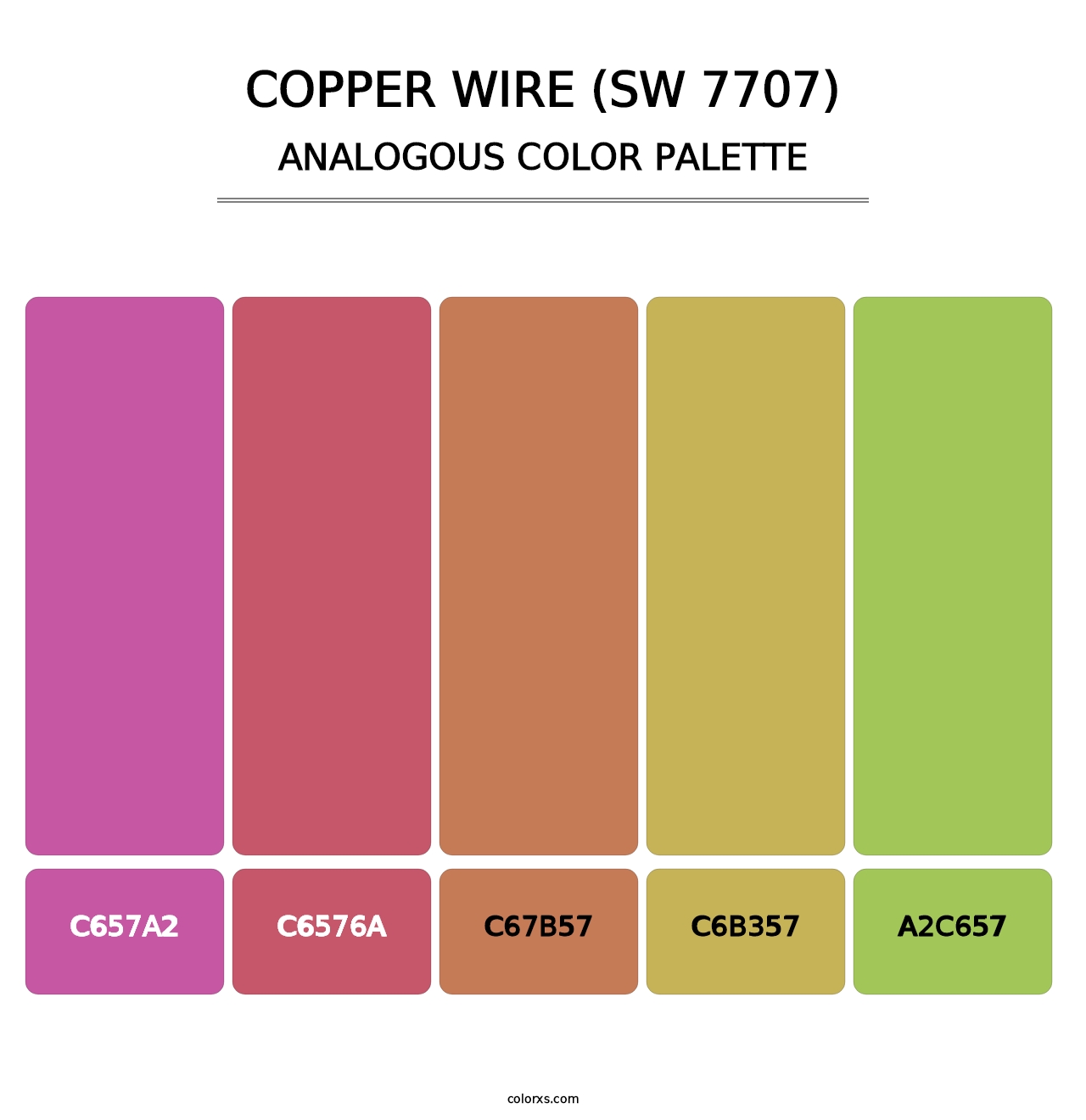 Copper Wire (SW 7707) - Analogous Color Palette