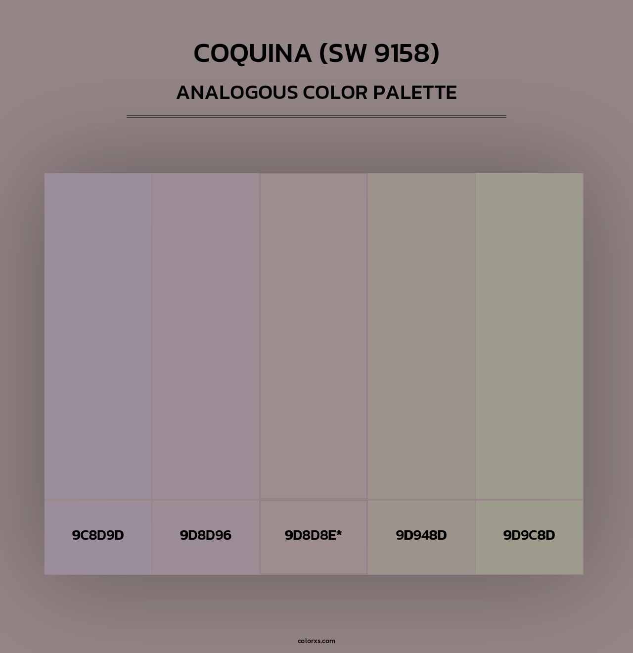 Coquina (SW 9158) - Analogous Color Palette