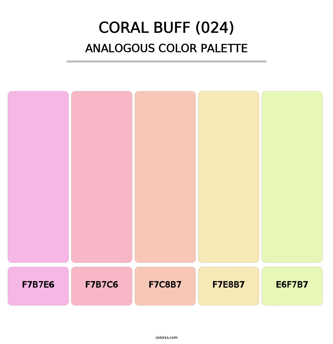 Coral Buff (024) - Analogous Color Palette