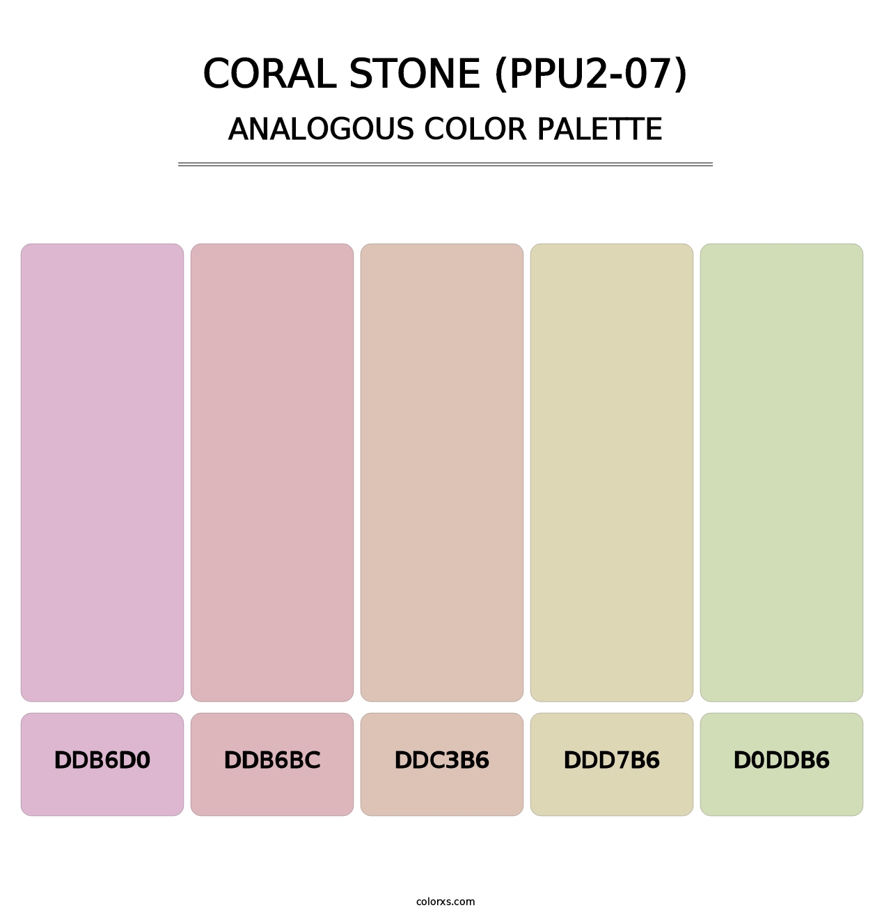 Coral Stone (PPU2-07) - Analogous Color Palette