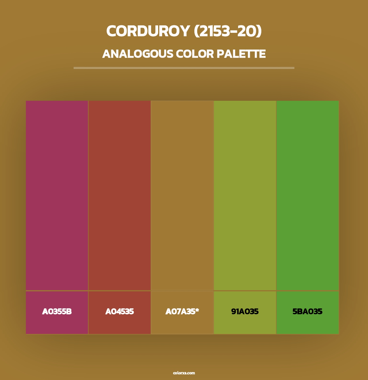 Corduroy (2153-20) - Analogous Color Palette