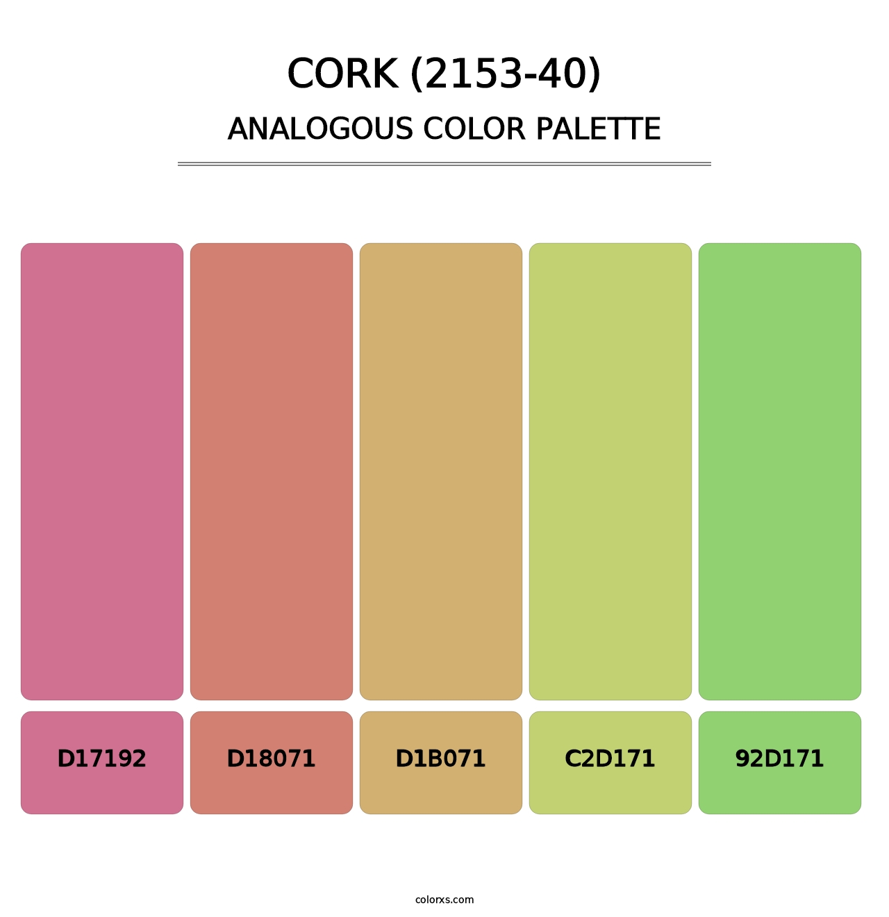 Cork (2153-40) - Analogous Color Palette