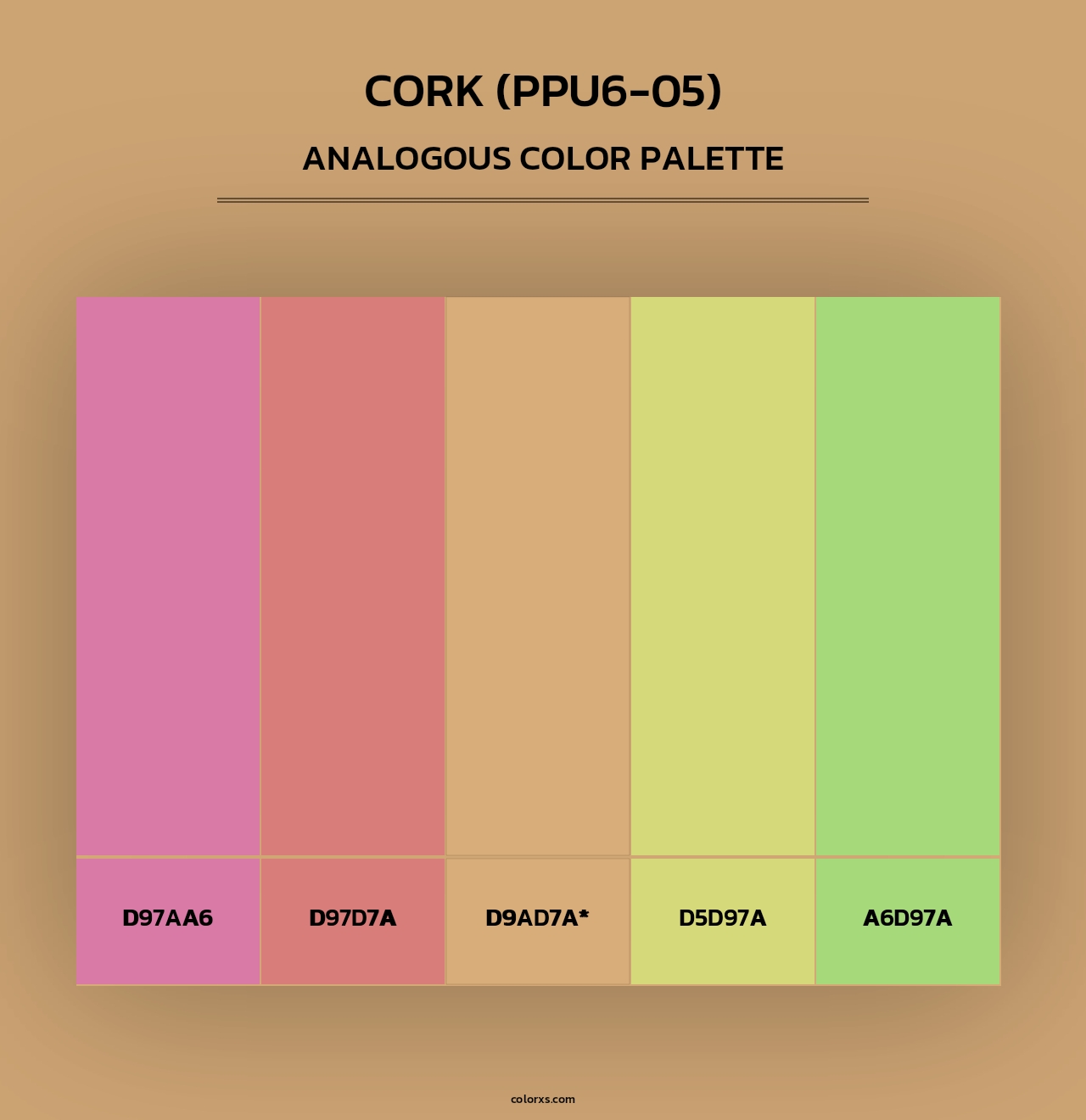 Cork (PPU6-05) - Analogous Color Palette