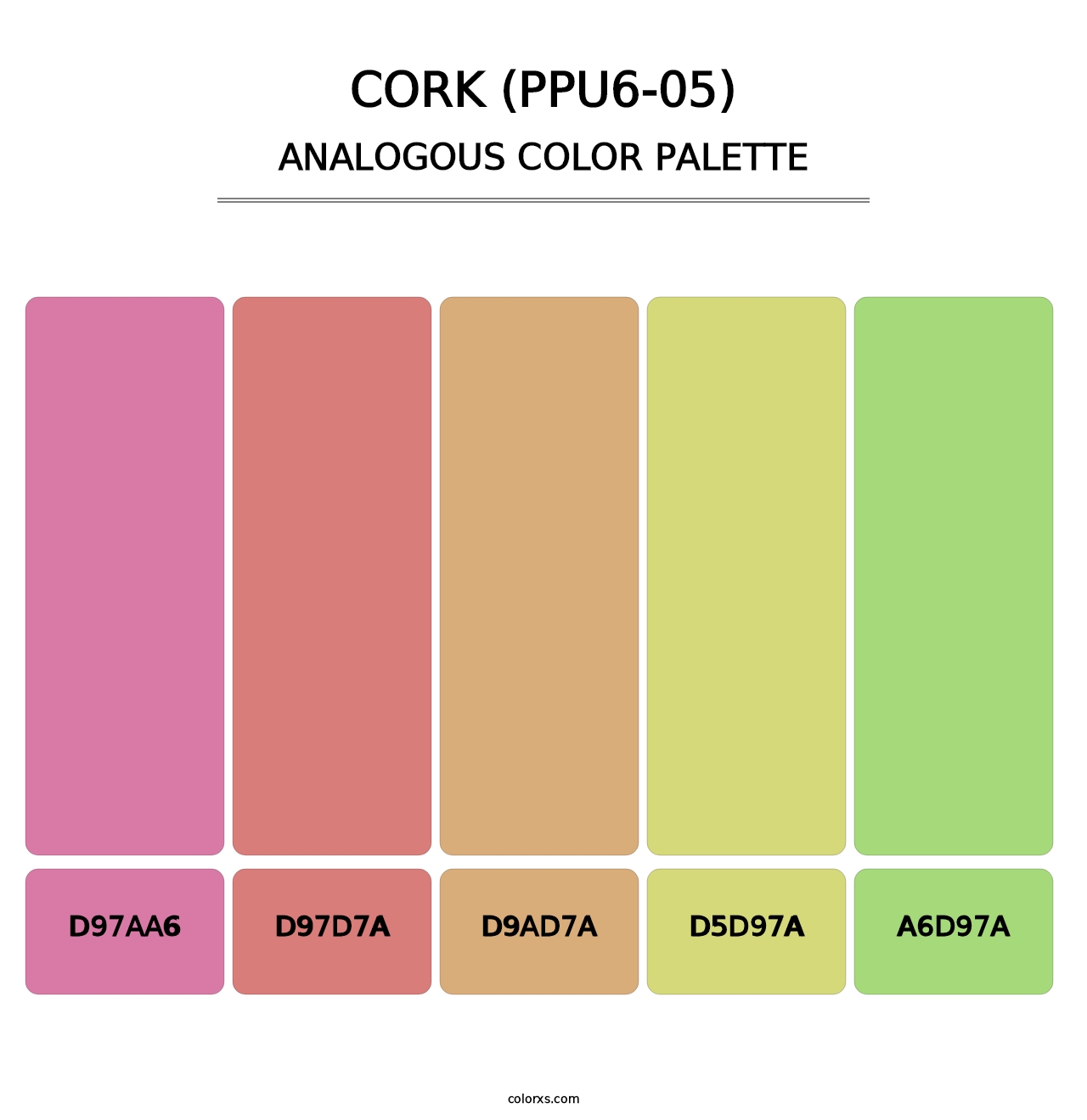 Cork (PPU6-05) - Analogous Color Palette
