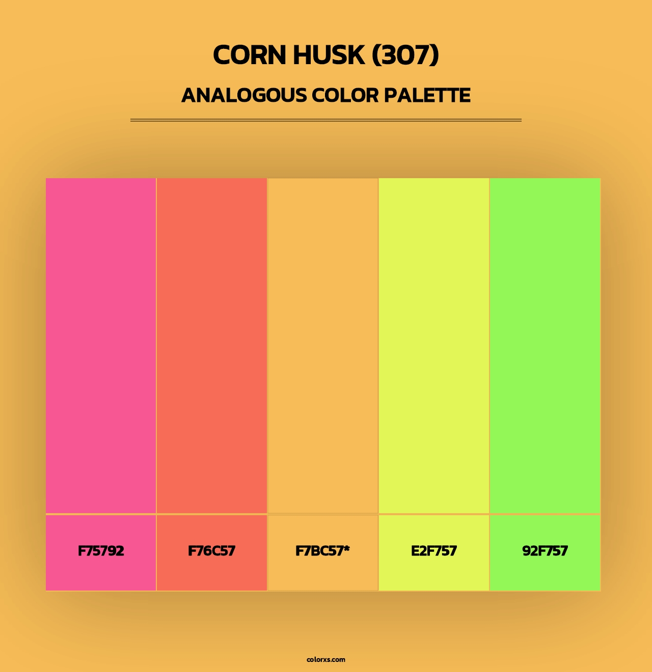 Corn Husk (307) - Analogous Color Palette