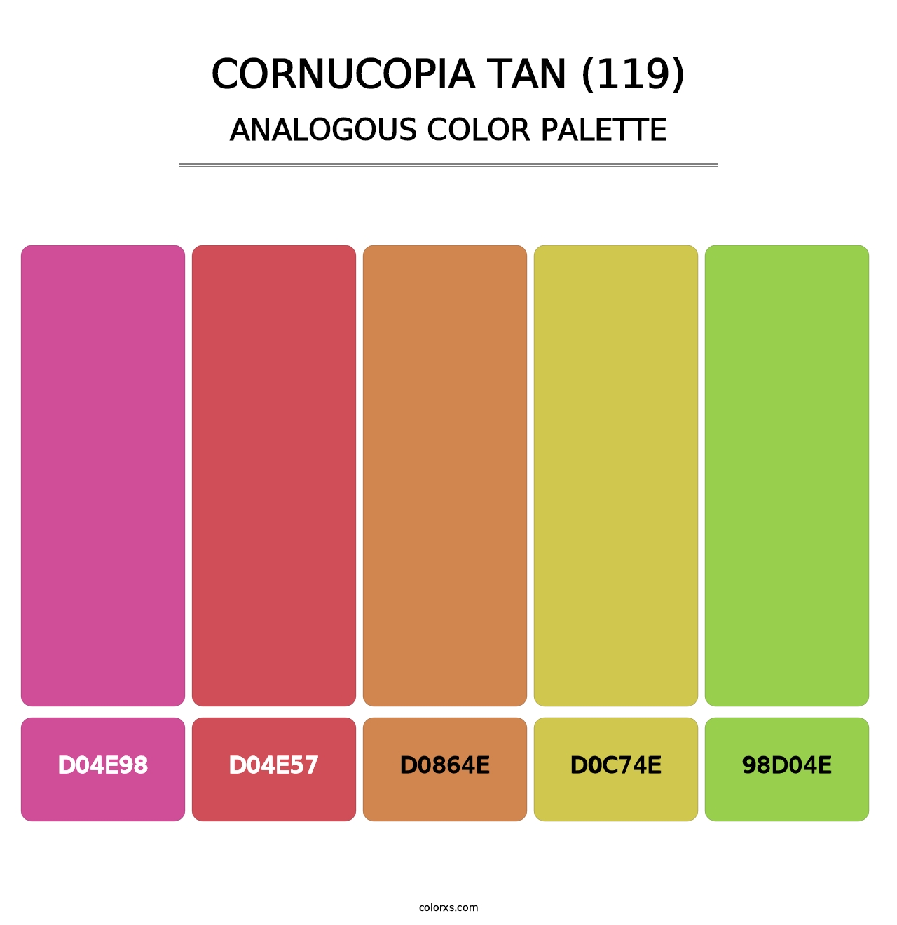 Cornucopia Tan (119) - Analogous Color Palette