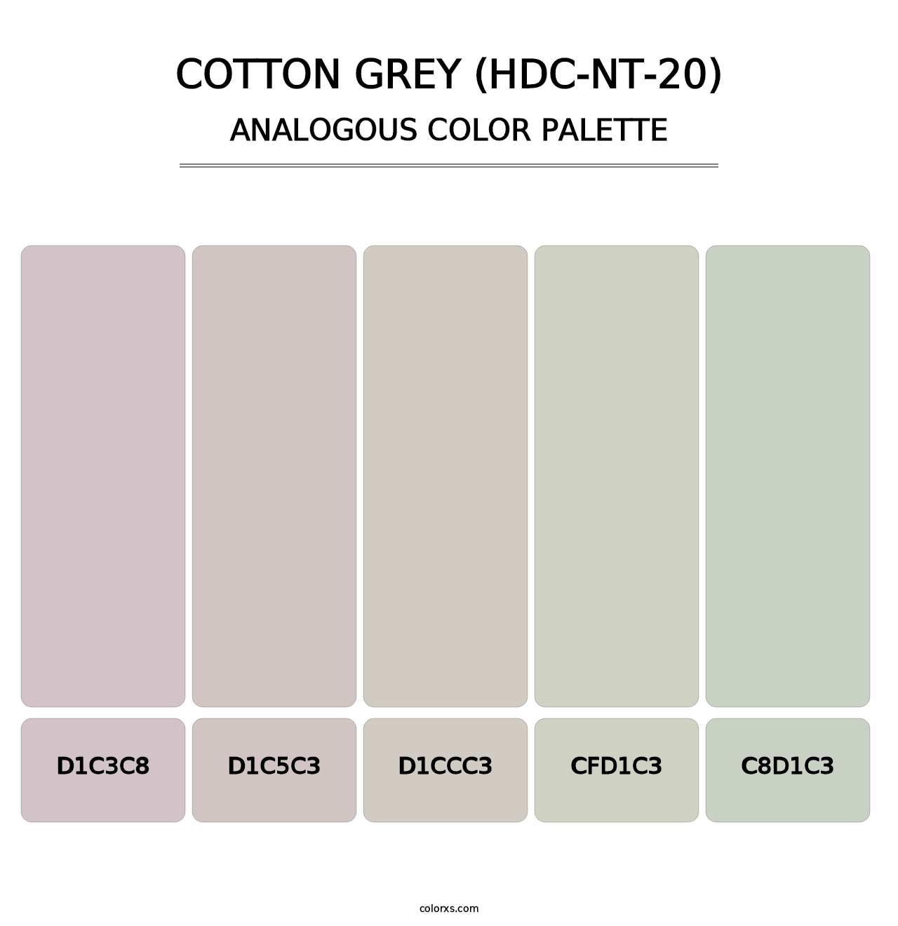 Cotton Grey (HDC-NT-20) - Analogous Color Palette