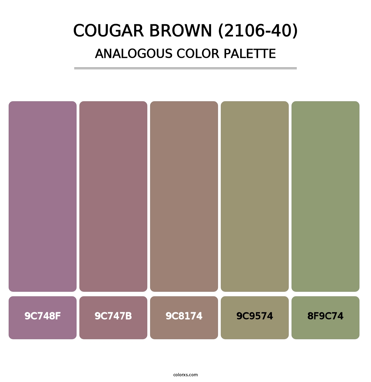 Cougar Brown (2106-40) - Analogous Color Palette