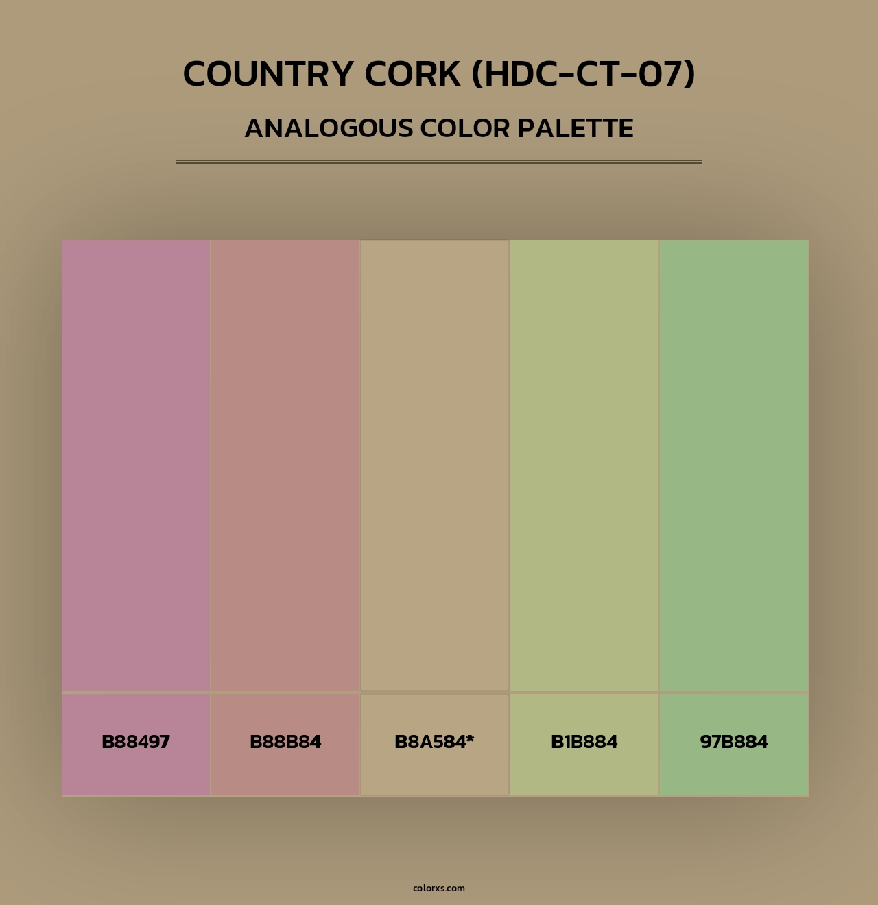 Country Cork (HDC-CT-07) - Analogous Color Palette