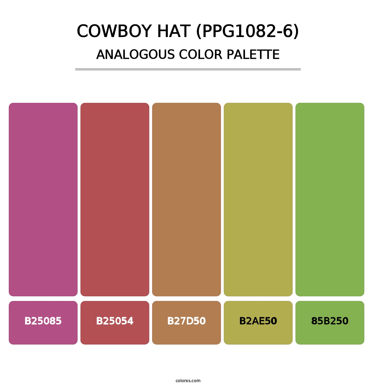 Cowboy Hat (PPG1082-6) - Analogous Color Palette