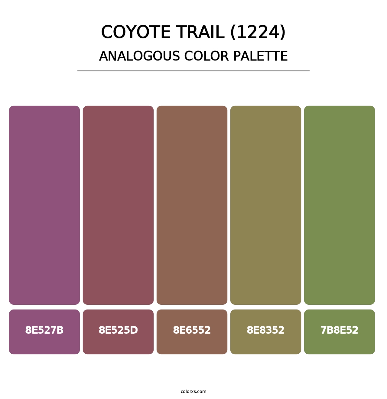 Coyote Trail (1224) - Analogous Color Palette