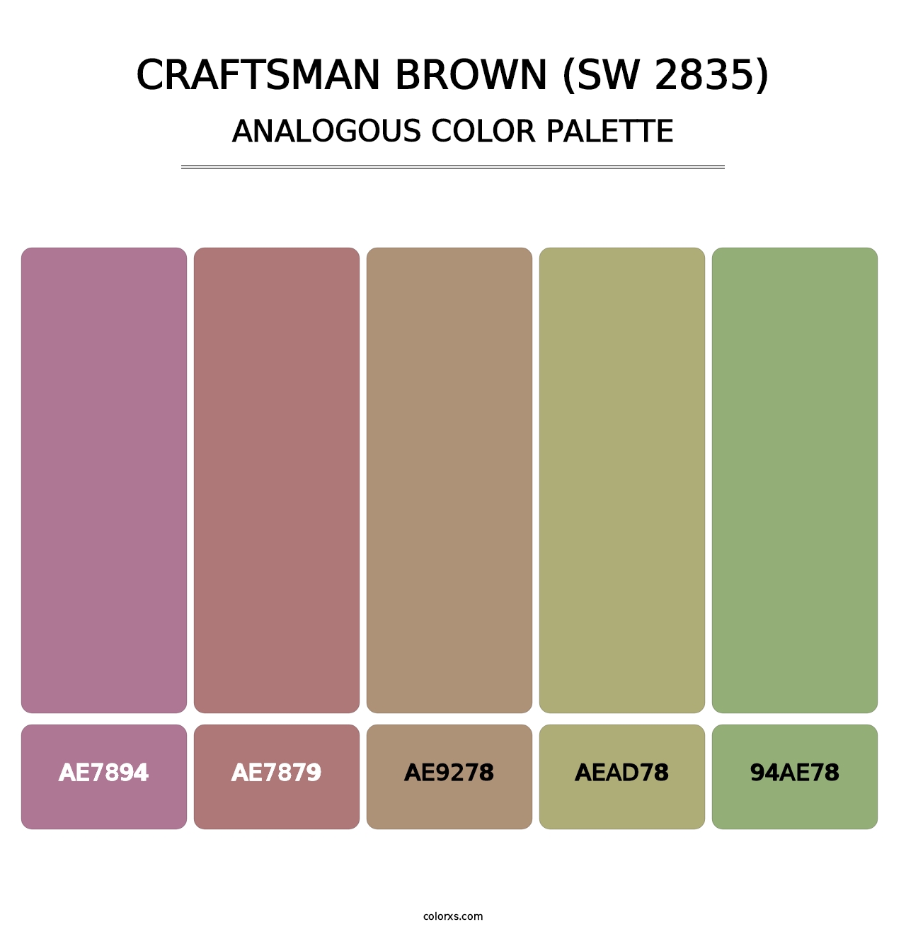 Craftsman Brown (SW 2835) - Analogous Color Palette